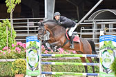 290720---Springen-Kl-L-Amateure_37.jpg