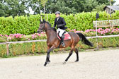 290720---Springen-Kl-L-Amateure_38.jpg