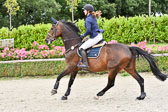Prfg 8 Springen A REI