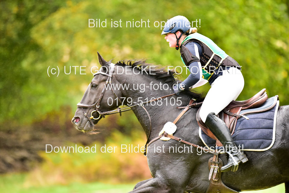 111020---Gelände-CCI-170.jpg