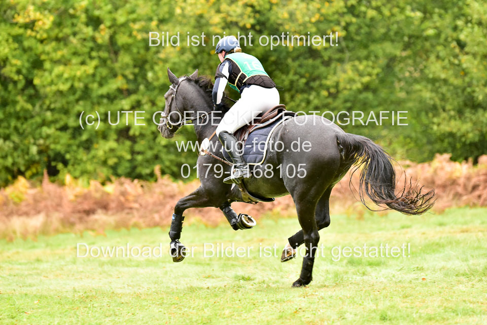 111020---Gelände-CCI-172.jpg
