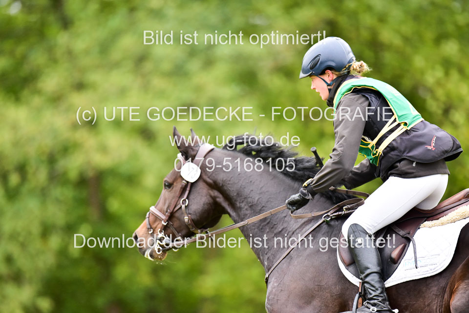 111020---Gelände-CCI-27.jpg