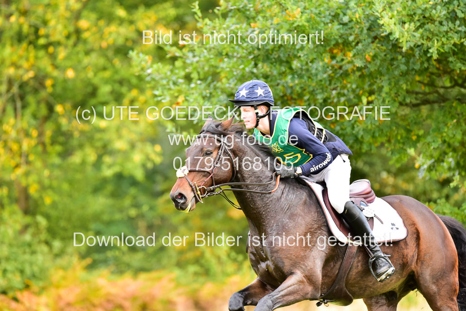 111020---Gelände-CCI-400.jpg