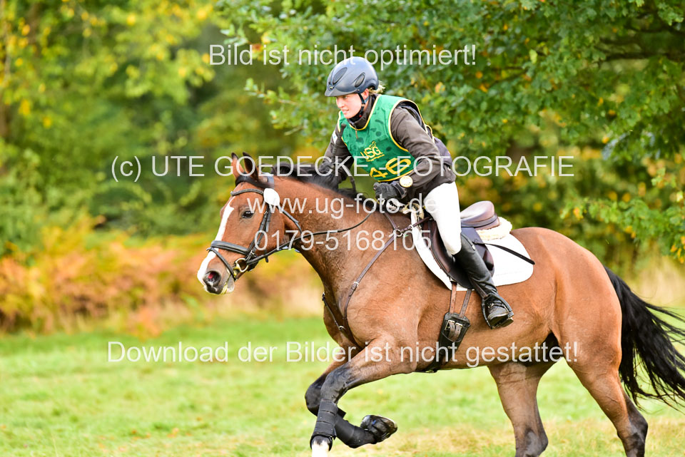 111020---Gelände-CCI-408.jpg
