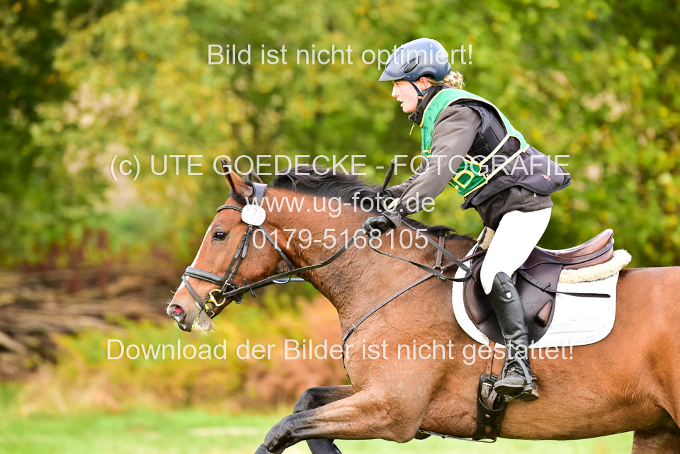 111020---Gelände-CCI-410.jpg