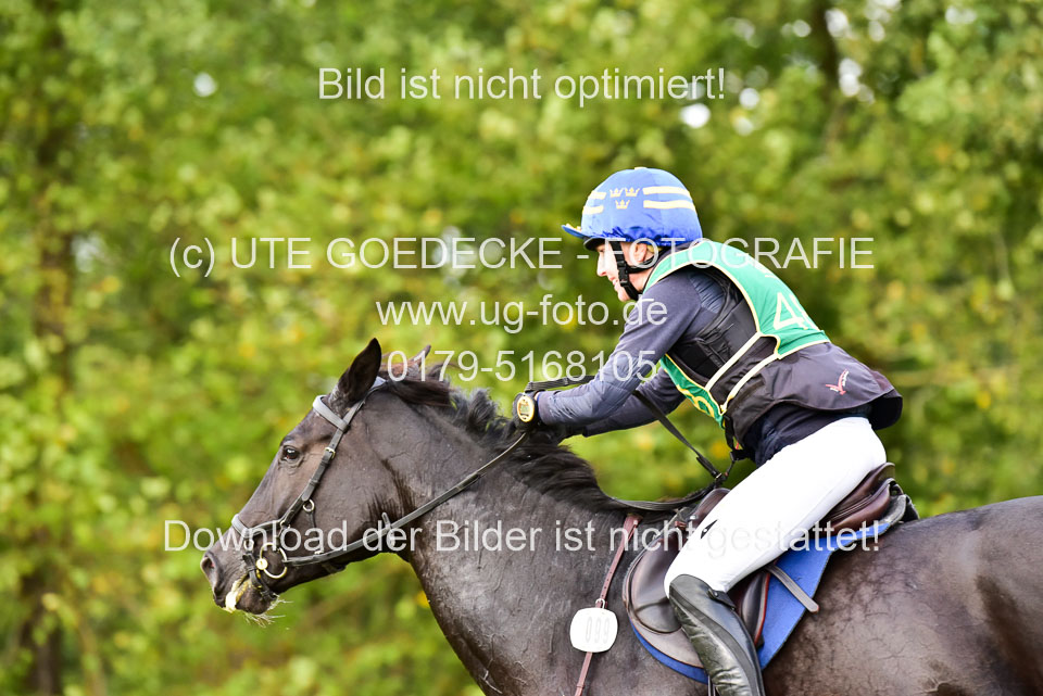 111020---Gelände-CCI-436.jpg