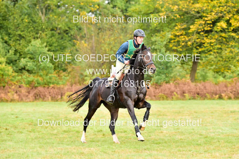 111020---Gelände-CCI-439.jpg