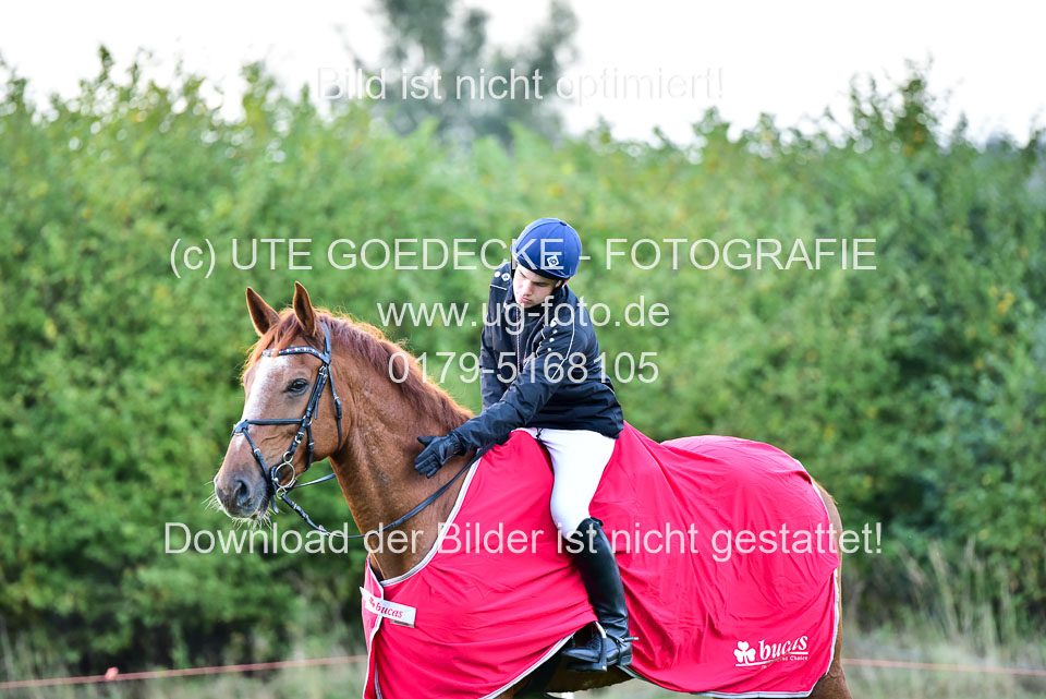 111020---Gelände-CCI-458.jpg