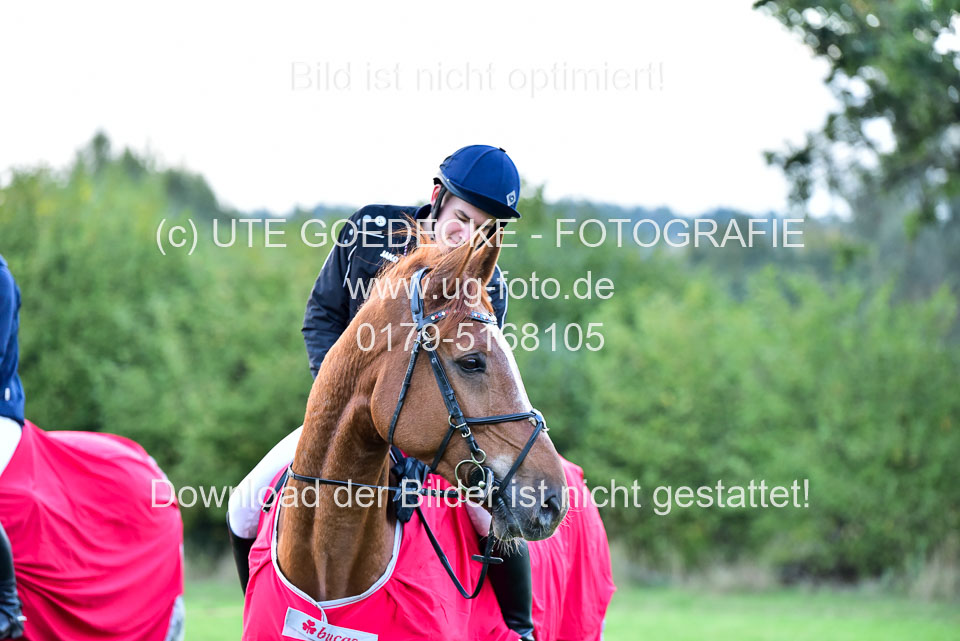 111020---Gelände-CCI-468.jpg