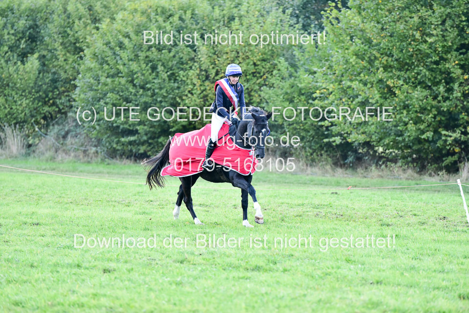 111020---Gelände-CCI-478.jpg