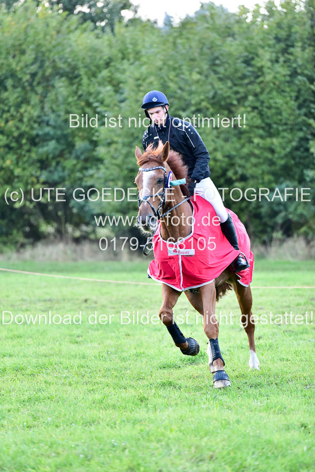 111020---Gelände-CCI-487.jpg