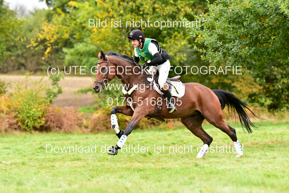 111020---Gelände-CCI-50.jpg