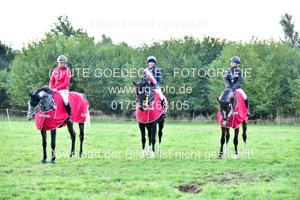 111020---Gelände-CCI-500.jpg