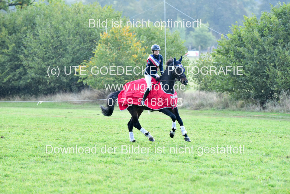 111020---Gelände-CCI-504.jpg