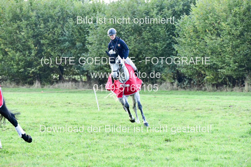 111020---Gelände-CCI-506.jpg