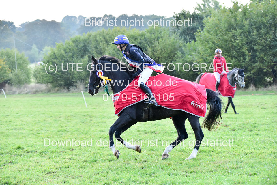 111020---Gelände-CCI-509.jpg