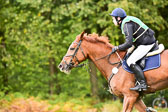 Gelände CCI **