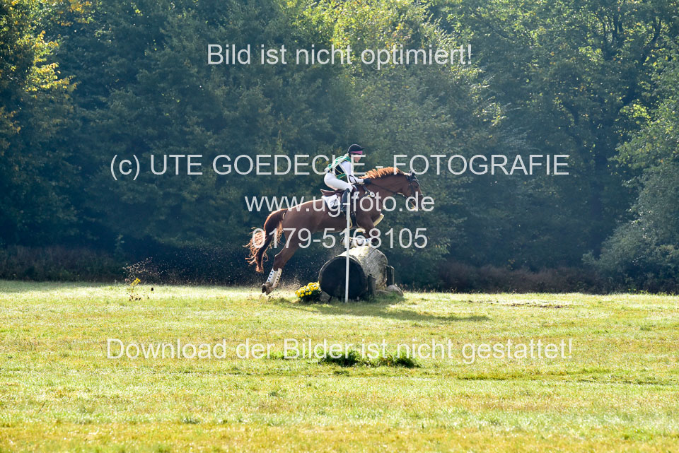111020---Gelände-A-120.jpg