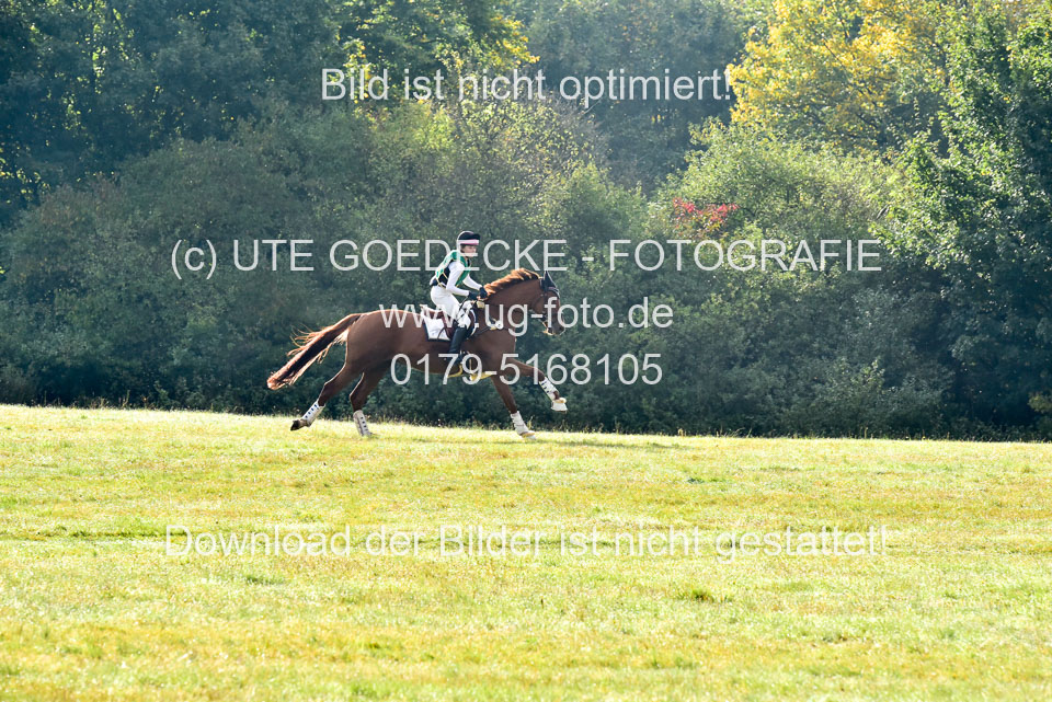 111020---Gelände-A-121.jpg