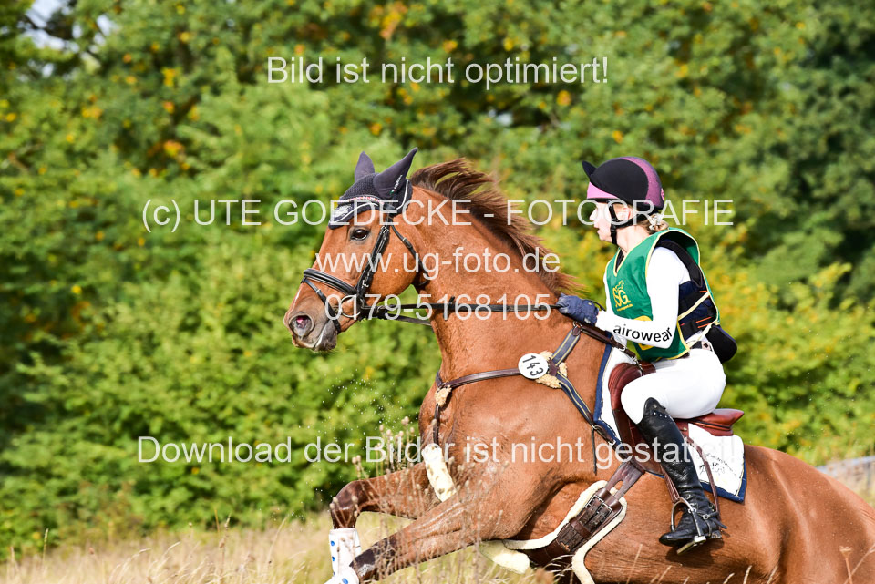 111020---Gelände-A-128.jpg