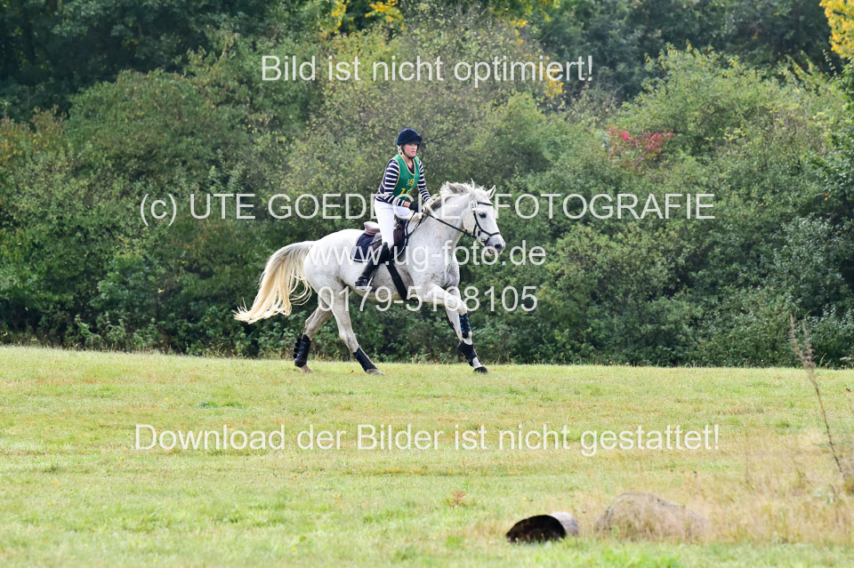 111020---Gelände-A-137.jpg