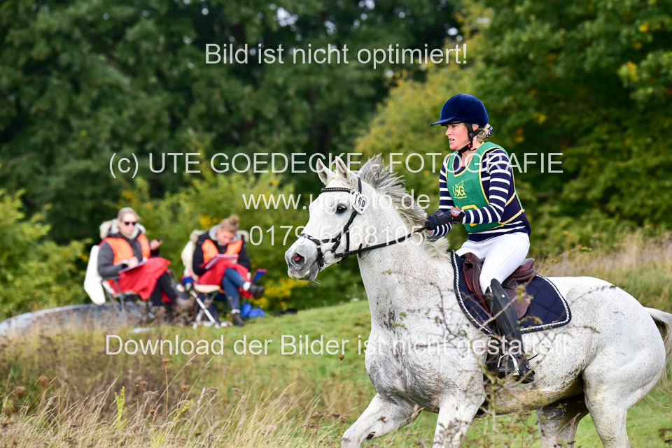 111020---Gelände-A-141.jpg