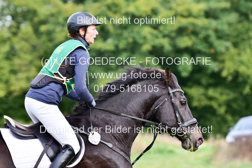 111020---Gelände-A-151.jpg