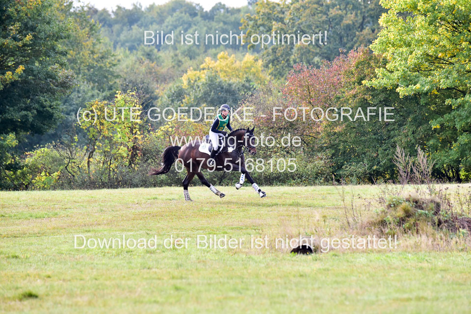 111020---Gelände-A-161.jpg