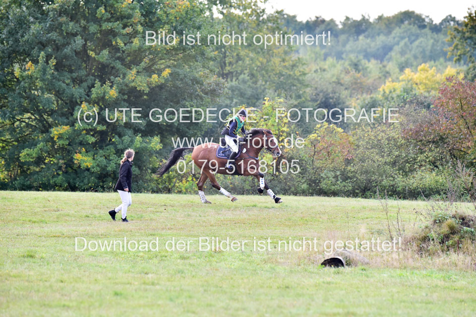 111020---Gelände-A-193.jpg