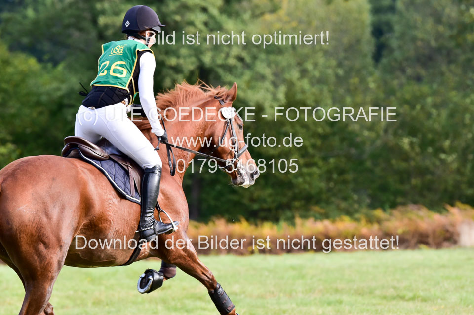 111020---Gelände-A-206.jpg