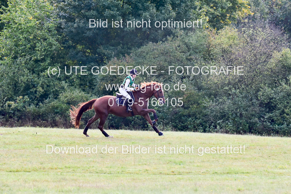 111020---Gelände-A-207.jpg