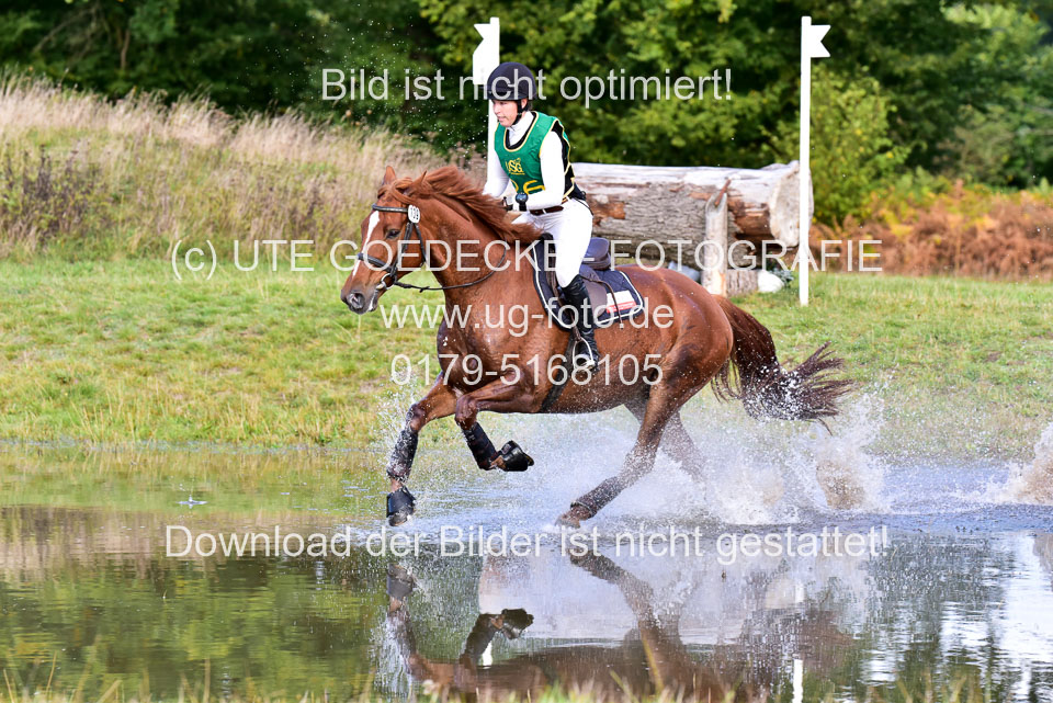 111020---Gelände-A-210.jpg