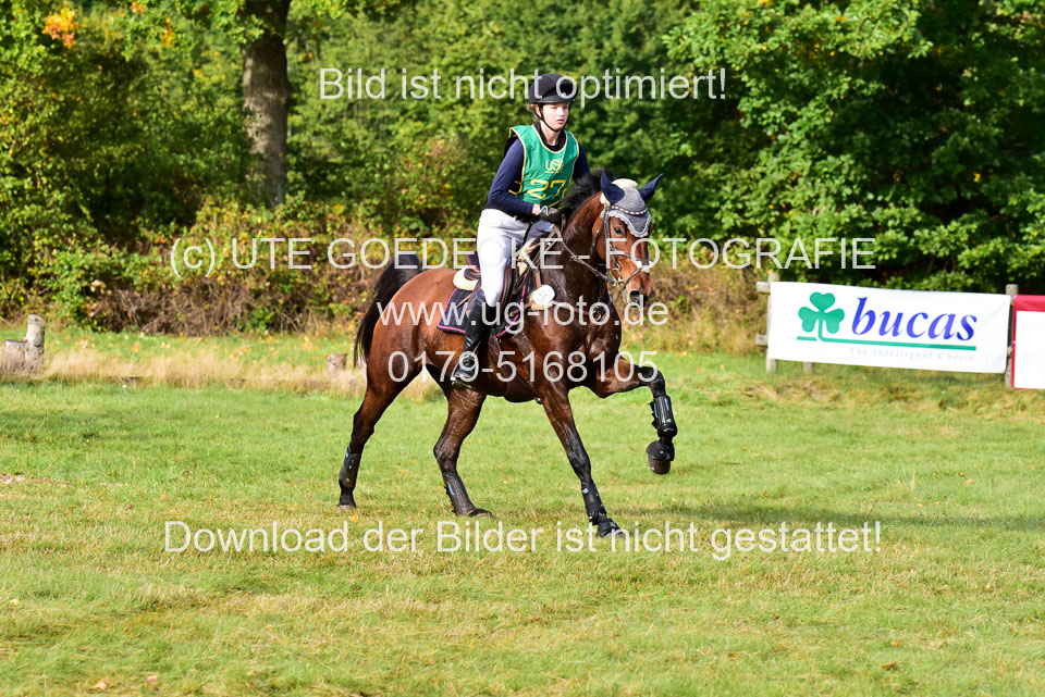 111020---Gelände-A-215.jpg