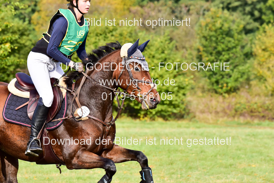 111020---Gelände-A-216.jpg