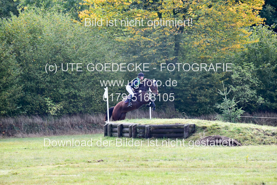 111020---Gelände-A-220.jpg