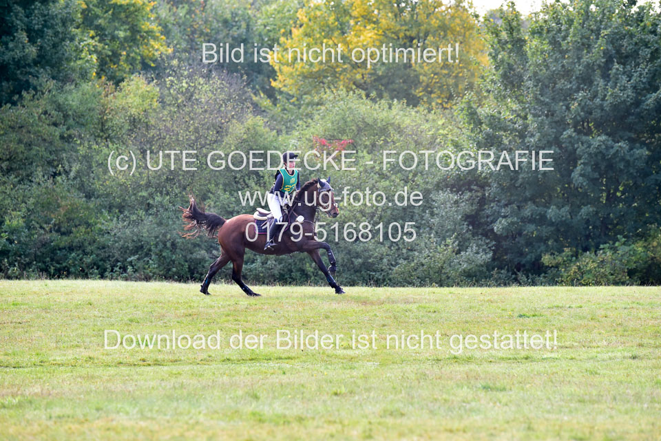 111020---Gelände-A-222.jpg