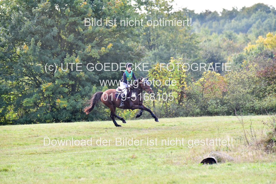 111020---Gelände-A-223.jpg