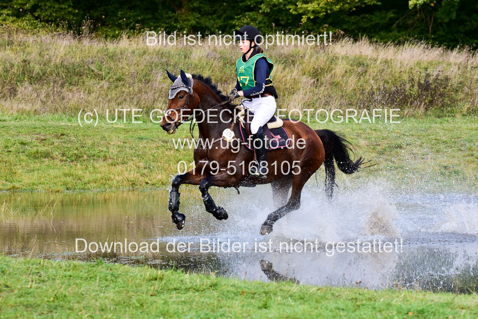 111020---Gelände-A-227.jpg