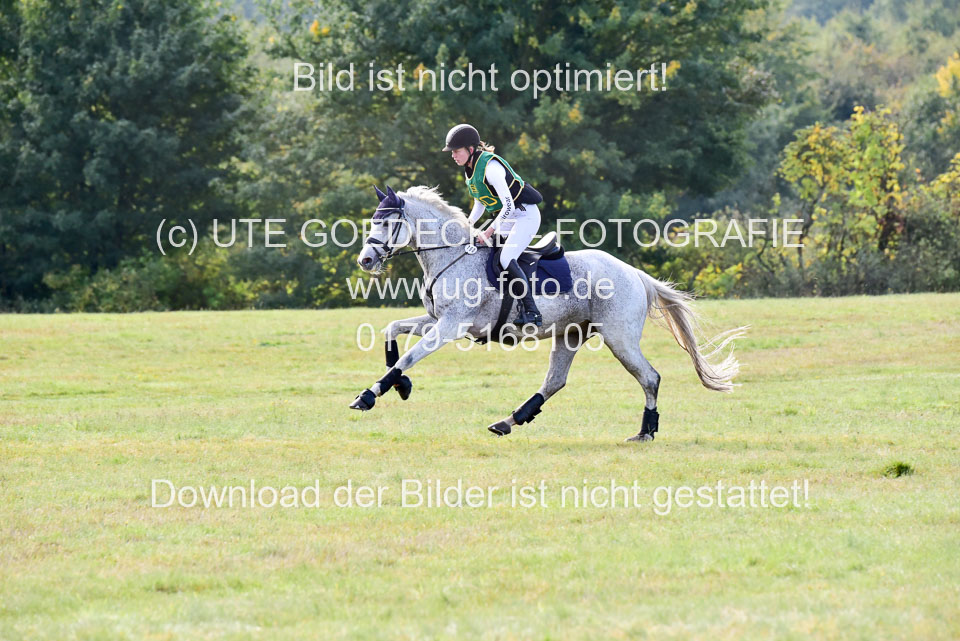 111020---Gelände-A-250.jpg