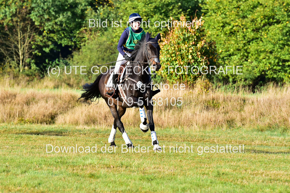 111020---Gelände-A-26.jpg