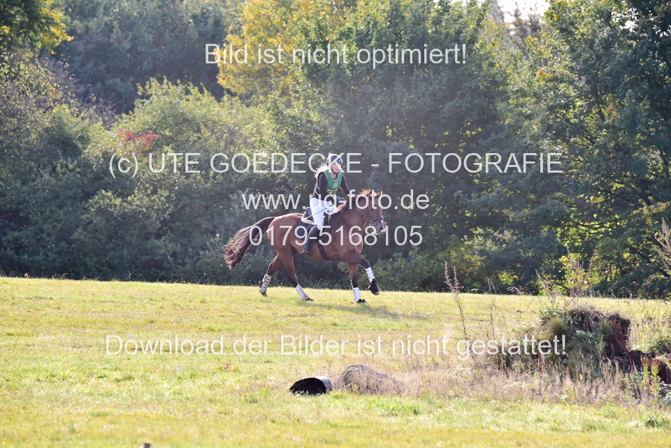 111020---Gelände-A-268.jpg