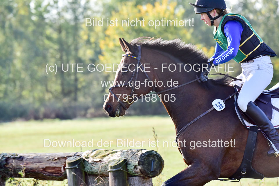 111020---Gelände-A-276.jpg