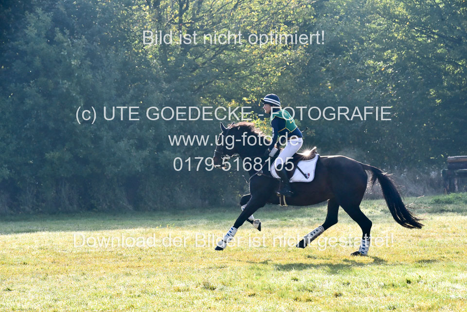 111020---Gelände-A-29.jpg