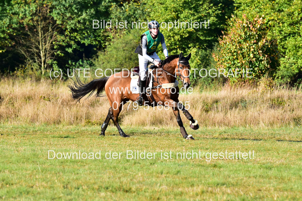 111020---Gelände-A-41.jpg