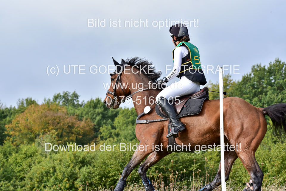 111020---Gelände-A-462.jpg