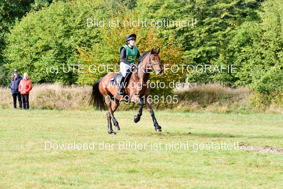 111020---Gelände-A-465.jpg
