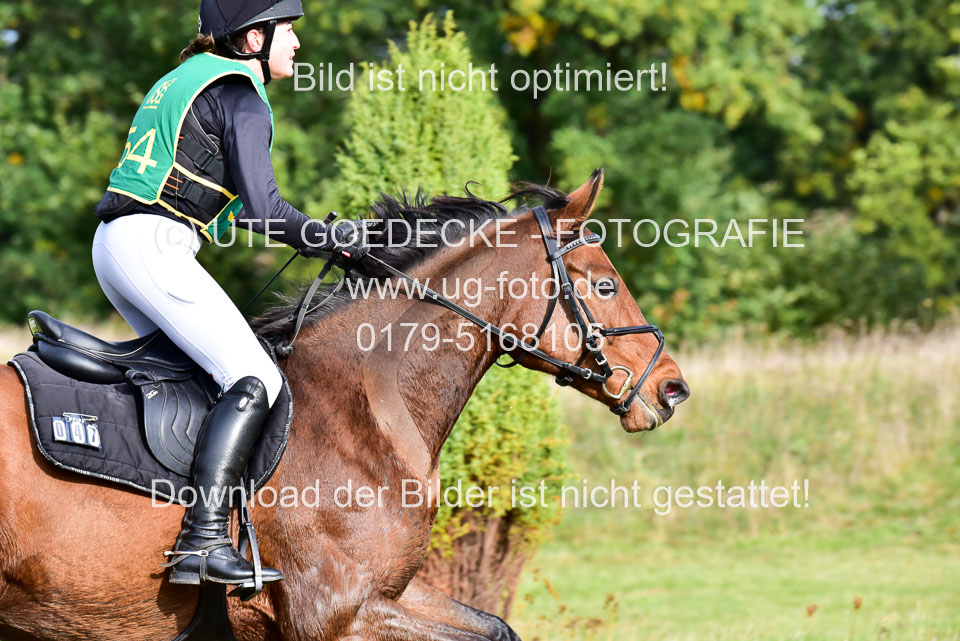 111020---Gelände-A-467.jpg