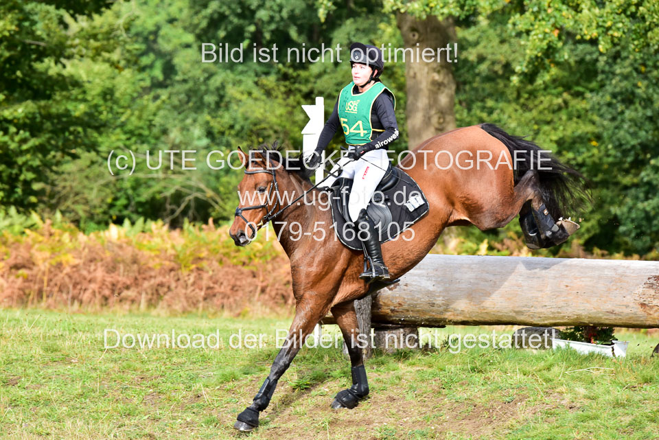 111020---Gelände-A-476.jpg