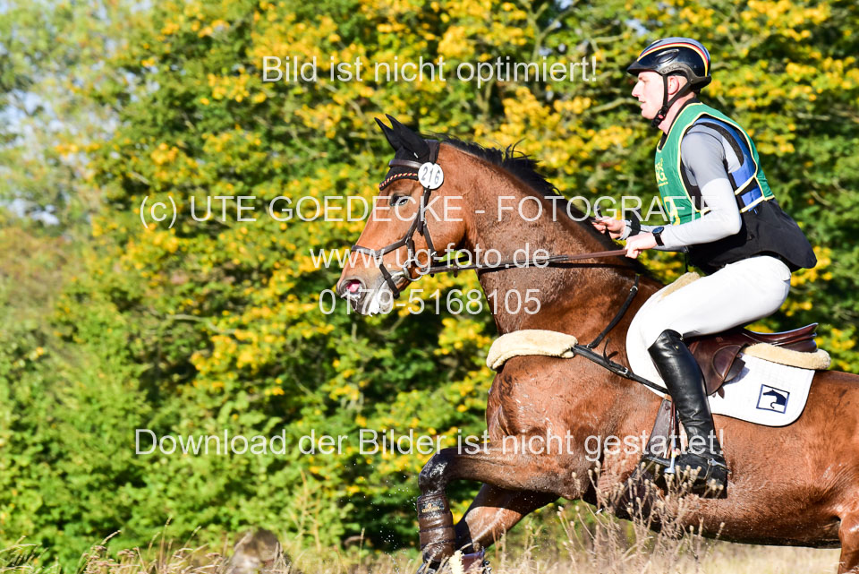 111020---Gelände-A-51.jpg