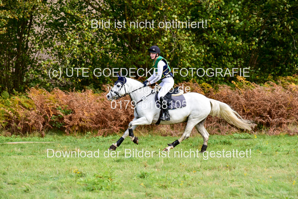 111020---Gelände-A-513.jpg